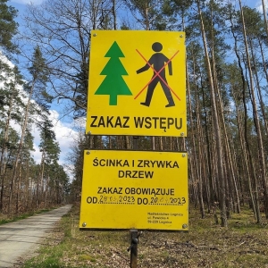 wycinka-milogostowice-fot-ewajak029