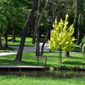 park-prochowice-fot-ewa-jakubowska03