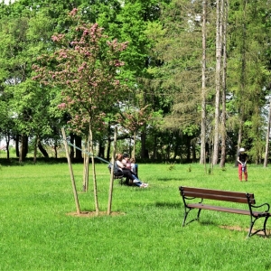 park-prochowice-fot-ewa-jakubowska63