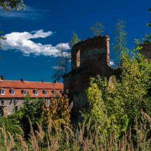zamek-owiesno29