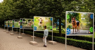 Daj im dom! Wyjątkowa wystawa w Parku Miejskim