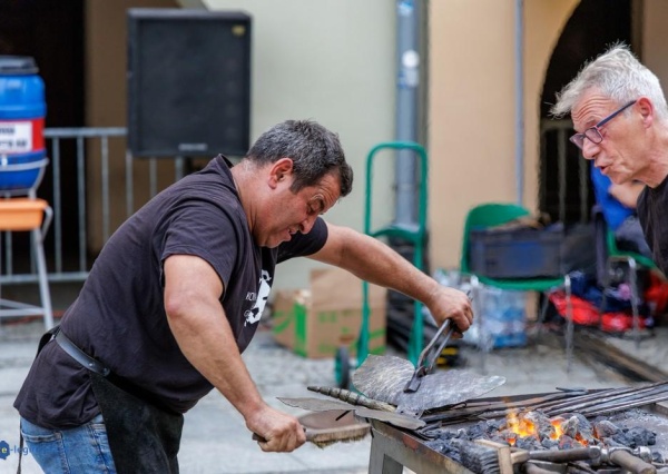 Kowale opanowali legnicki Rynek. Tak powstają „Mistrzowskie Owady” (FOTO)