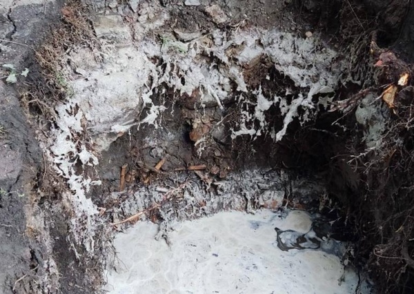 Odkryto zbiorową mogiłę