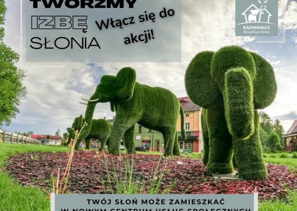 W Radwanicach szukają... słoni