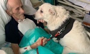 Wigilia w legnickim w Wojewódzkim Szpitalu Specjalistycznym Legnicy