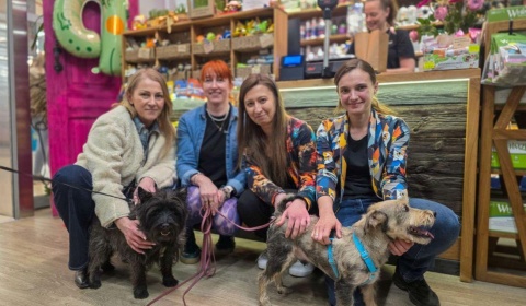 Jagodzianki, Zwierzogród i lokalna solidarność dla zwierząt