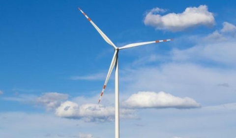 Wiatraki jak grzyby po deszczu? Ile będzie pod Złotoryją?