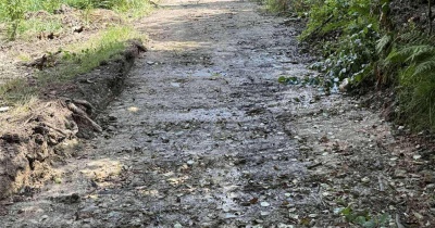 Porozumienie z Nadleśnictwem Jawor i Zakończenie Szlaków w Chełmcu! 