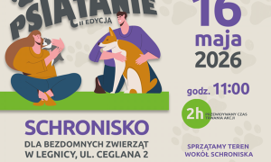 Akcja 