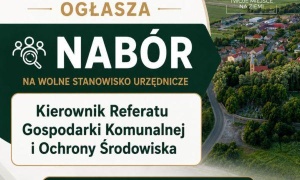 Praca szuka człowieka w Wądrożu Wielkim