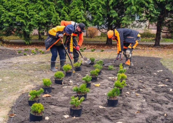 Polkowice się zazielenią jeszcze bardziej
