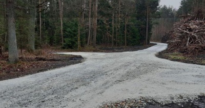 Ta droga może zmienić wiele. Czy powstanie leśna trasa marzeń?