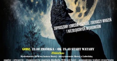 Noc, pochodnie i legenda Wilkołaka! Złotoryja rusza na wyjątkowy marsz