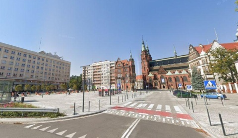 Radna domaga się zazieleniania miasta ulica po ulicy. Władze odpowiadają: analizujemy!