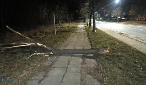 Chodnik z przeszkodami na Iwaszkiewicza (nasza interwencja)