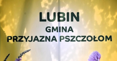 Zapraszamy na Święto Lipy, Pszczół i Ziół w Gorzelinie 