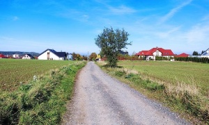 Umowa na Leszczyńską. Wykonawca zapowiada ekspresowe tempo