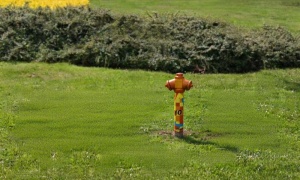 Hydrantów nie brakuje. Ale co z ciśnieniem wody?