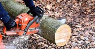 Wyrżnęłi wszystkie drzewa.Mieszkańcy alarmują, miasto mówi o możliwym naruszeniu prawa