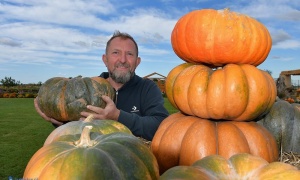 Farma Dyń pełna pasji i jesiennej magii (FOTO)