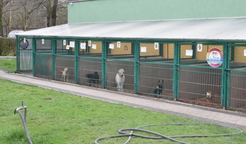 Rozstrzygnięto przetarg na prowadzenie schroniska