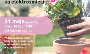 LPGK i Gazeta Wrocławska na rzecz Zielonej Legnicy. Wymień elektrośmieci na kwiaty