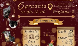 Mikołajki w Schronisku dla Bezdomnych Zwierząt