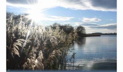 Wernisaż wystawy Agnieszki Włodarczyk