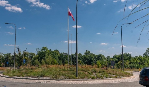 Ronda wstydu? Wielkie nazwy, a za nimi chwasty i uschnięte drzewa (FOTO)