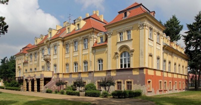 Pałac w Szklarach Górnych na sprzedaż 