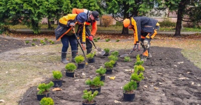 Polkowice się zazielenią jeszcze bardziej