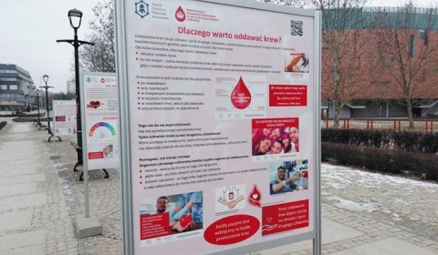 Laboratorium życia: krew w roli głównej