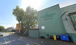 Roboty przy leciwym drzewie. Co z platanem przy Reja?