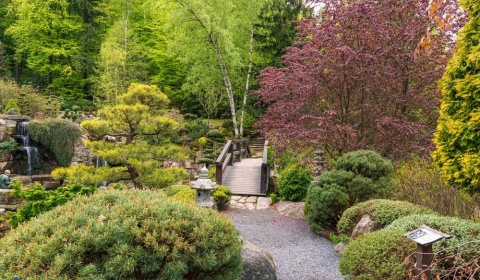 Mała Japonia - orientalna perełka Karkonoszy (FOTO)