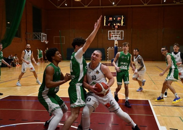 Basket z 15. wygraną w sezonie (FOTO)