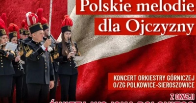 Święto Wojska Polskiego w Polkowicach. Rodzinne atrakcje i koncert
