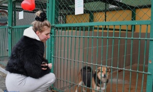 Walentynki z bezdomniakiem. Legniczanie pokazali wielkie serca (FOTO)
