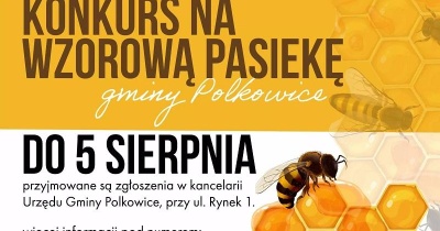 Wybiorą najlepiej prowadzoną pasiekę. W. Wabik zaprosił pszczelarzy!