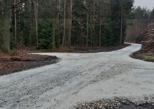 Ta droga może zmienić wiele. Czy powstanie leśna trasa marzeń?
