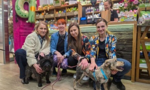 Jagodzianki, Zwierzogród i lokalna solidarność dla zwierząt