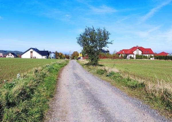 Umowa na Leszczyńską. Wykonawca zapowiada ekspresowe tempo