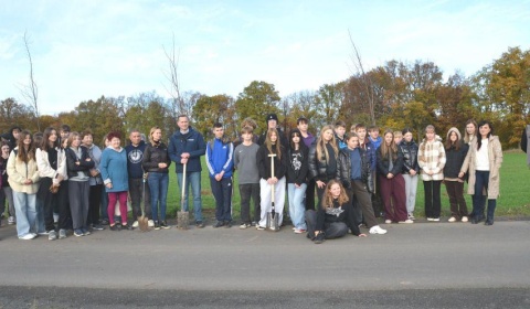  Lipy z imionami znalazły swoje miejsce w Złotoryi 