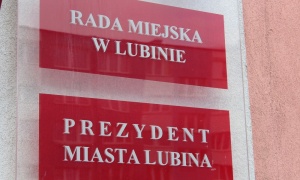 Lubin rusza na wojnę ze szczurami