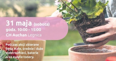 LPGK i Gazeta Wrocławska na rzecz Zielonej Legnicy. Wymień elektrośmieci na kwiaty
