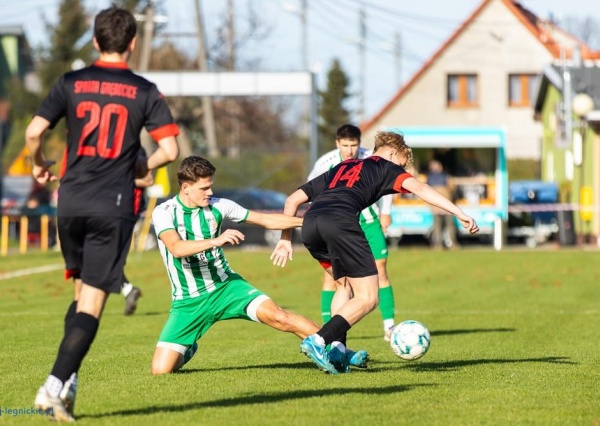 Prochowiczanka pozbawiła beniaminka złudzeń (FOTO)