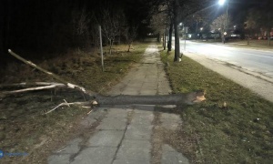 Chodnik z przeszkodami na Iwaszkiewicza (nasza interwencja)