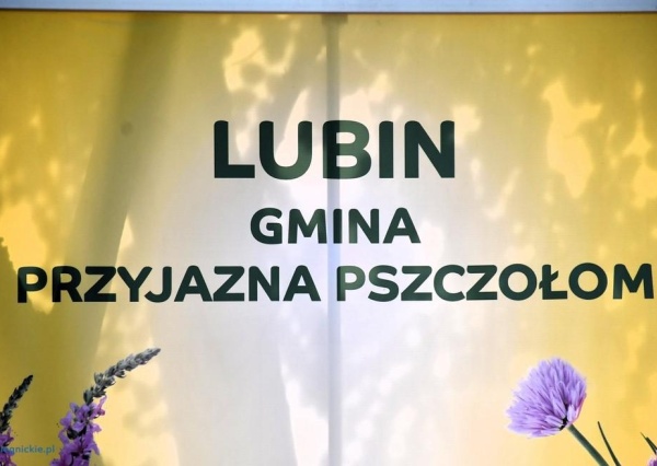 Zapraszamy na Święto Lipy, Pszczół i Ziół w Gorzelinie 
