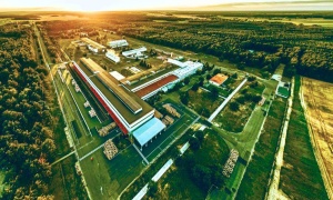 KGHM: Huta Miedzi Cedynia zasilana w 100% zieloną energią