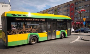 Tak zmienia się rozkład jazdy autobusów na czas remontu przejazdu na Zagrodzieńskiej 