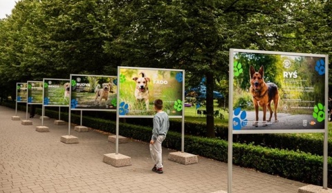 Daj im dom! Wyjątkowa wystawa w Parku Miejskim